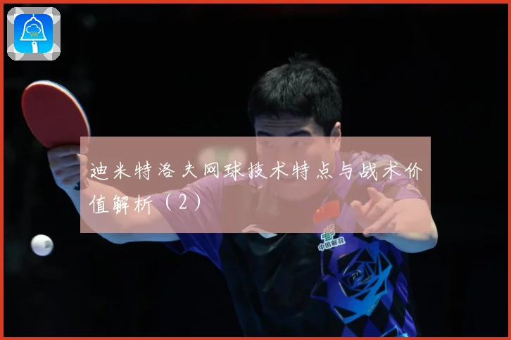 迪米特洛夫网球技术特点与战术价值解析（2）