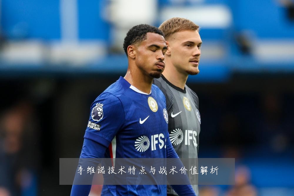 李维诺技术特点与战术价值解析